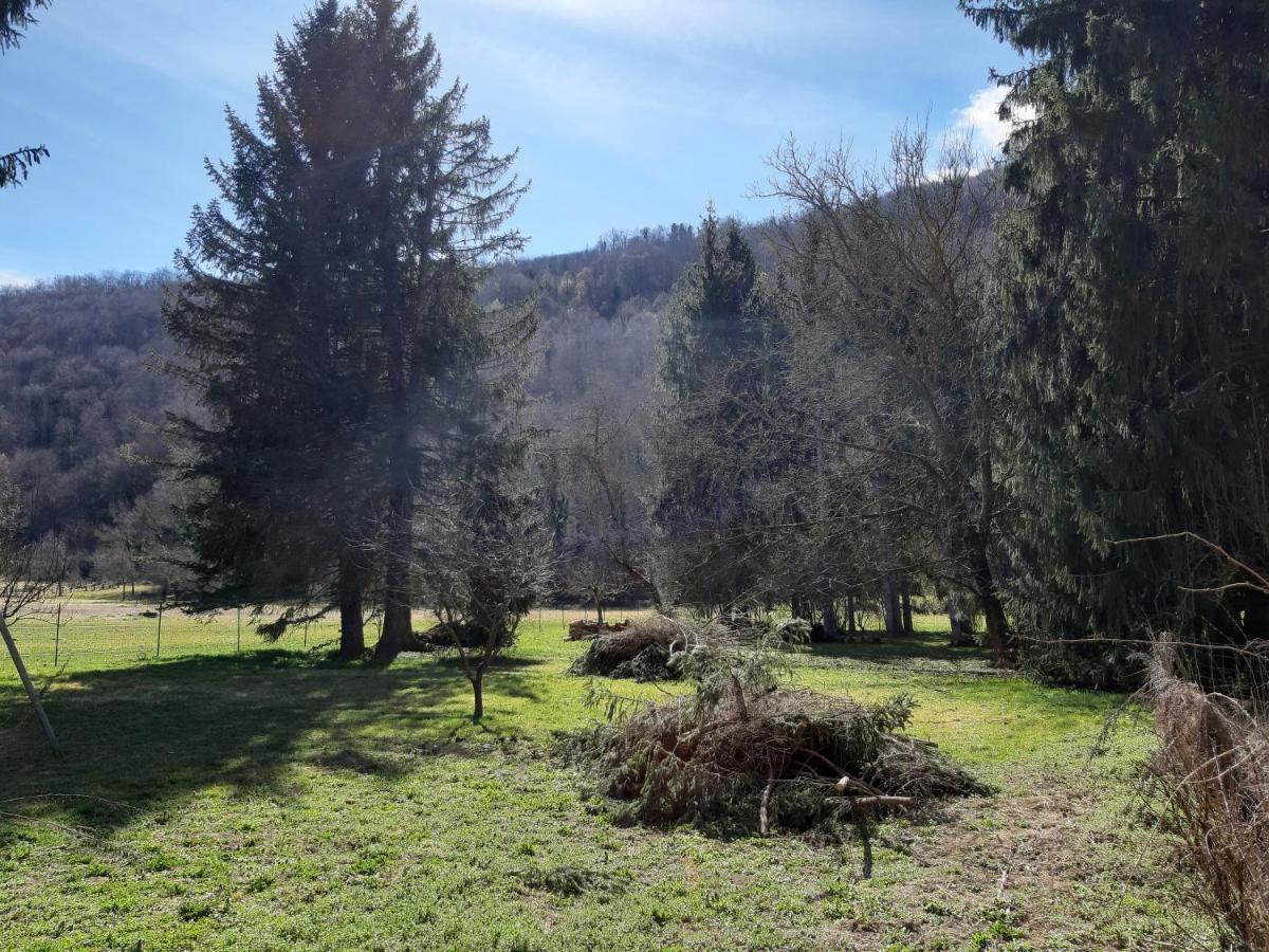 Chalet Tout Confort Proche D Ax 3 Domaines Vebre Экстерьер фото