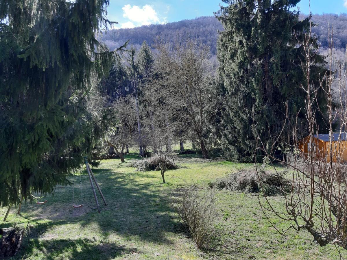 Chalet Tout Confort Proche D Ax 3 Domaines Vebre Экстерьер фото