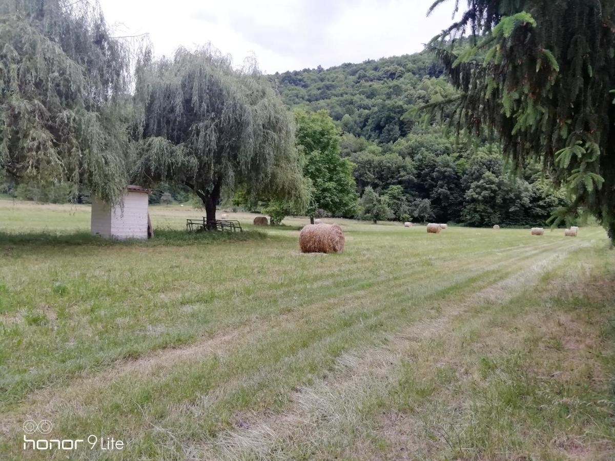 Chalet Tout Confort Proche D Ax 3 Domaines Vebre Экстерьер фото